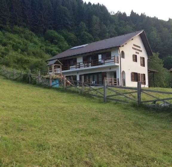 Pensiunea Valea Pinului