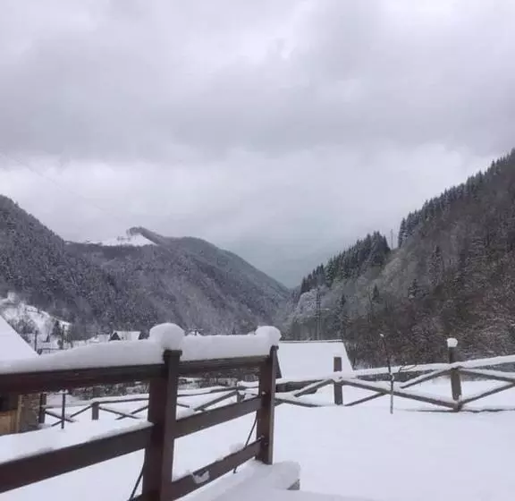 Pensiunea Valea Pinului