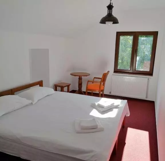 Pensiunea Valea Pinului