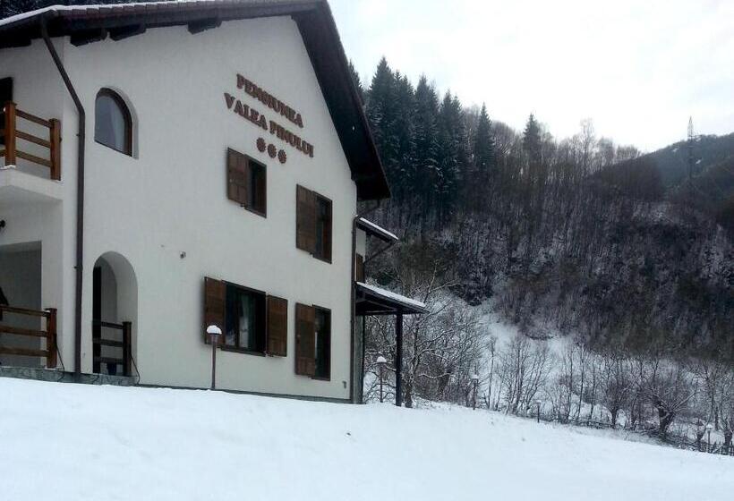 Pensiunea Valea Pinului
