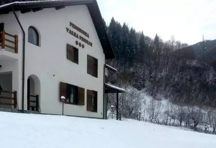 Pensiunea Valea Pinului
