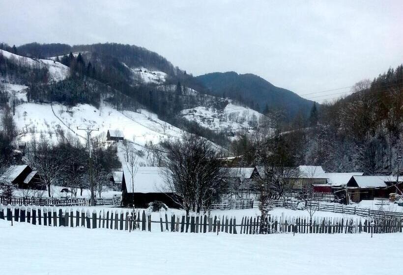 Pensiunea Valea Pinului