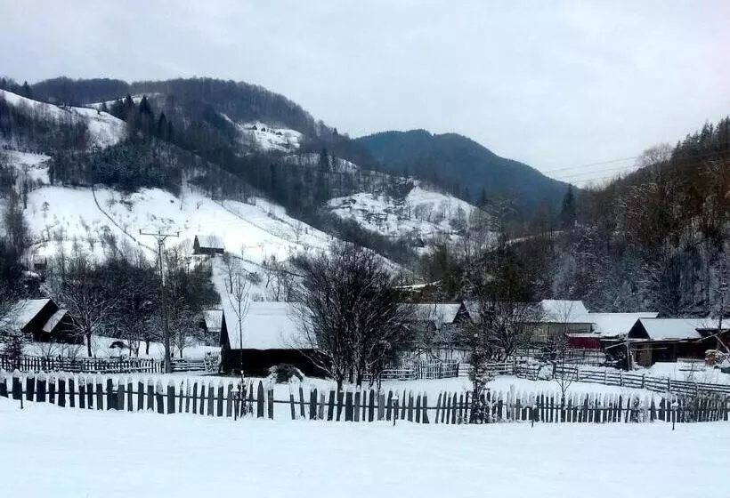 Pensiunea Valea Pinului