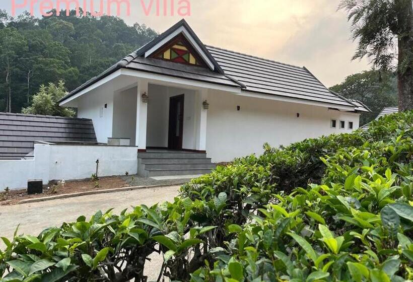 Wild Planet Jungle Resort