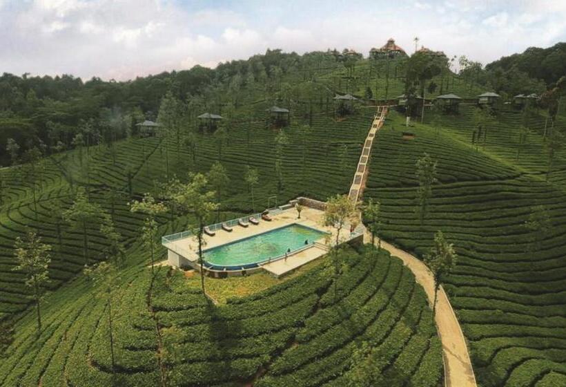 Wild Planet Jungle Resort