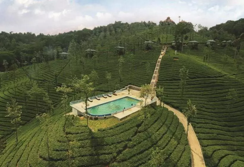 Wild Planet Jungle Resort