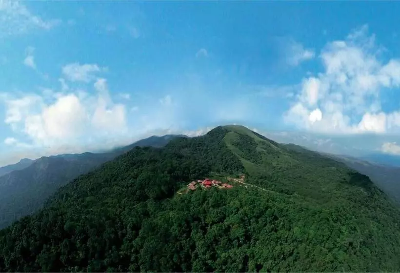 Wild Planet Jungle Resort