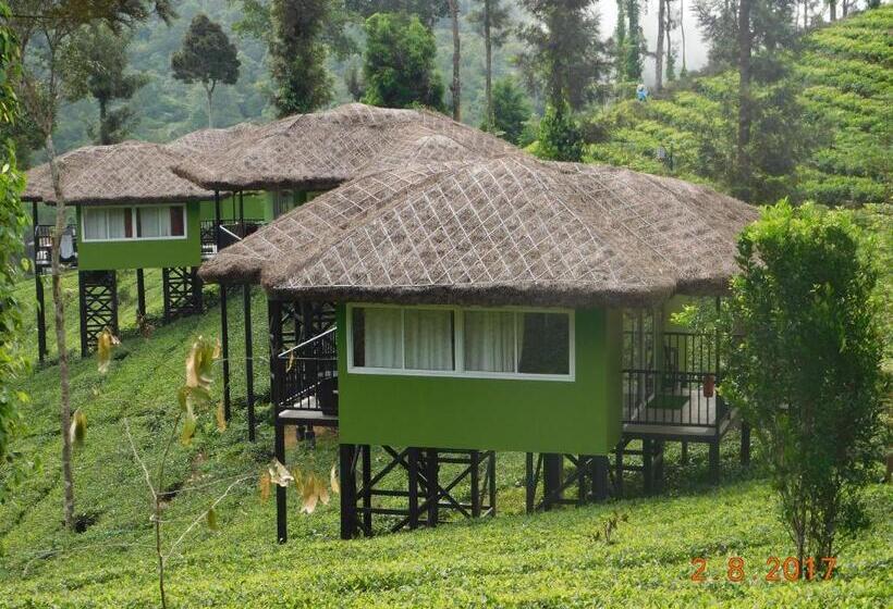 Wild Planet Jungle Resort