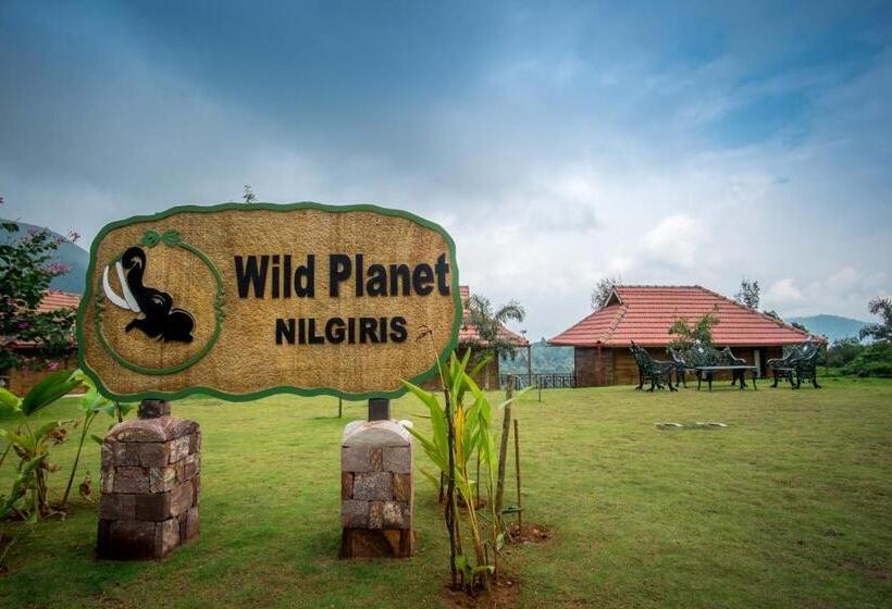 Wild Planet Jungle Resort