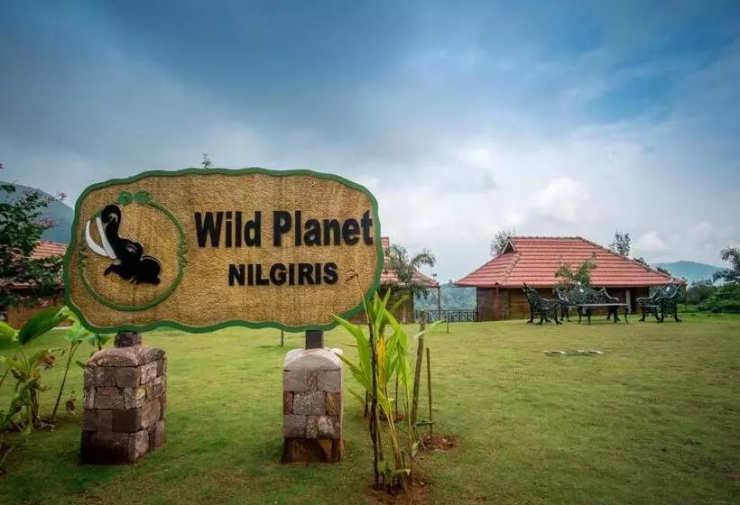 Wild Planet Jungle Resort