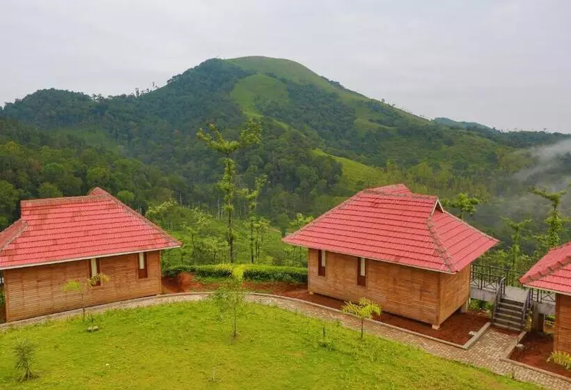 Wild Planet Jungle Resort