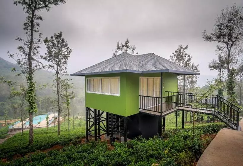 Wild Planet Jungle Resort