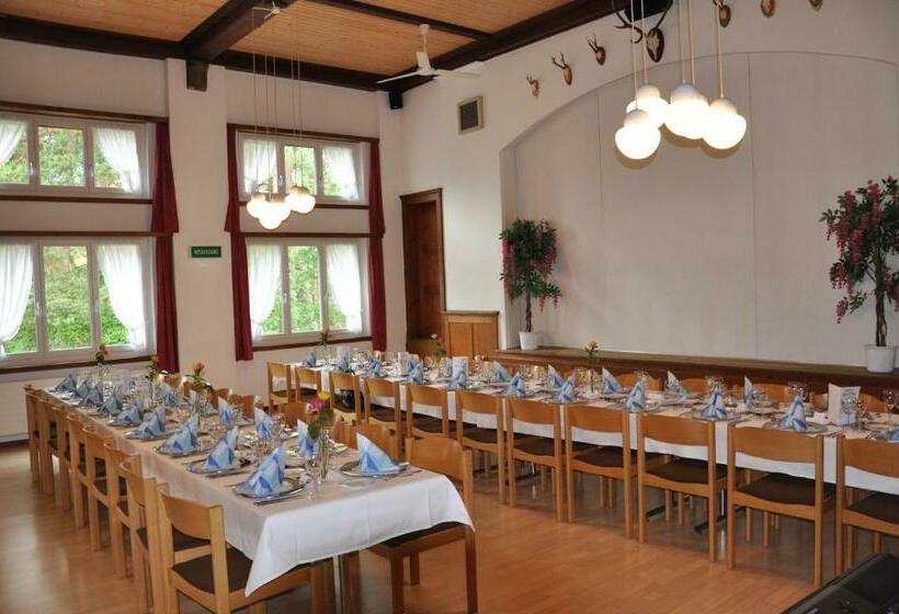 Общежитие Gasthaus Waldheim