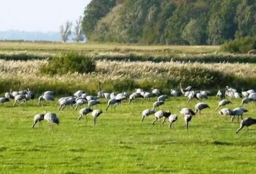 Hotelli Carmina Am See
