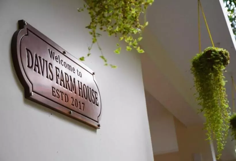 ホテル Davis Farm House