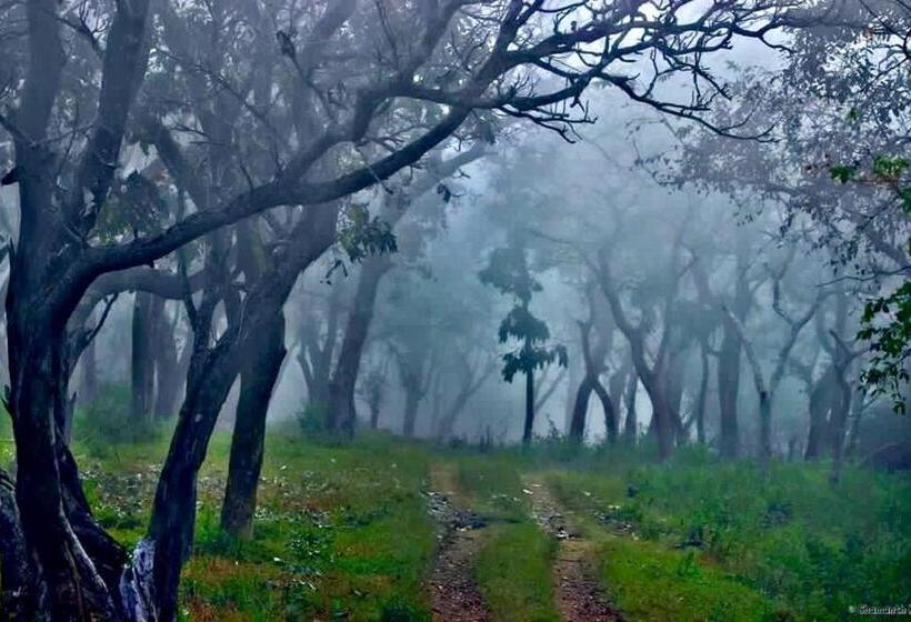 בית מלון כפרי Davis Farm House