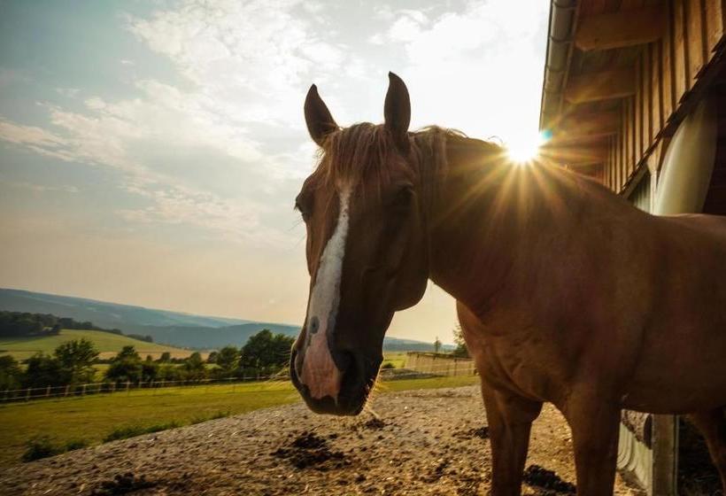 酒店 Landgasthof Dittersdorfer Höhe
