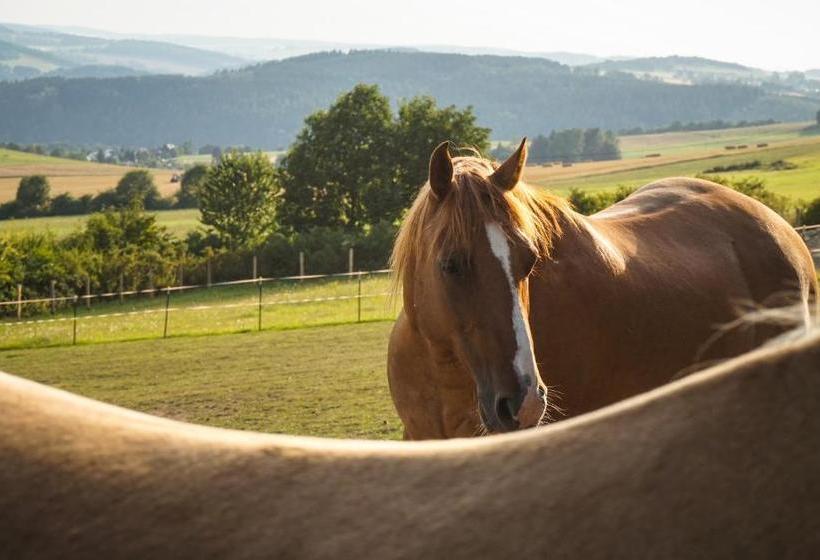 酒店 Landgasthof Dittersdorfer Höhe