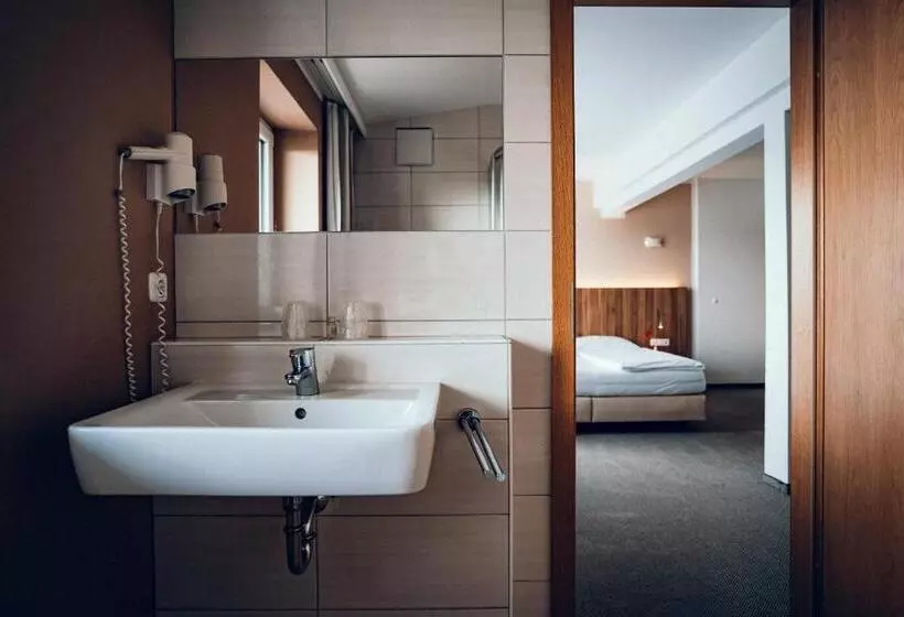 Hotelli Pension Baumgartner Berghof