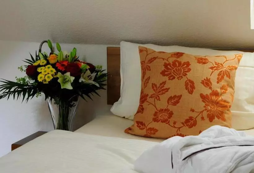 Hotelli Schlossresidenz Heitzenhofen