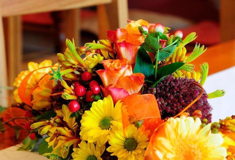 酒店 Schlossresidenz Heitzenhofen