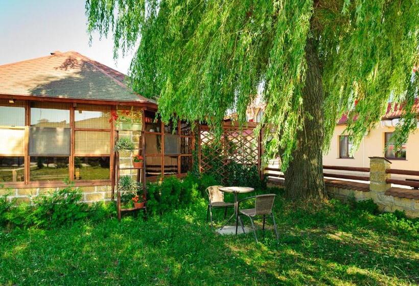 酒店 Zolota Pidkova