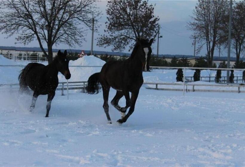 酒店 Zolota Pidkova