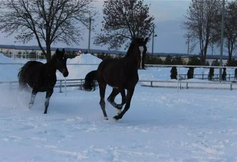 Hotelli Zolota Pidkova