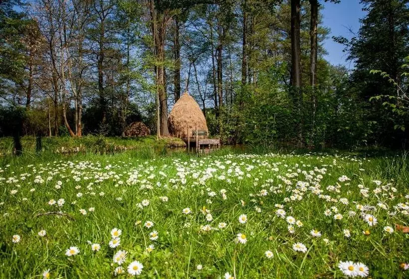 Hotelli Zum Stern Spreewald