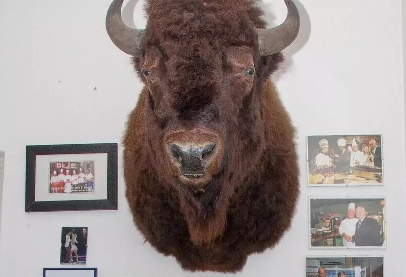 Hotelli Zum Stern Spreewald