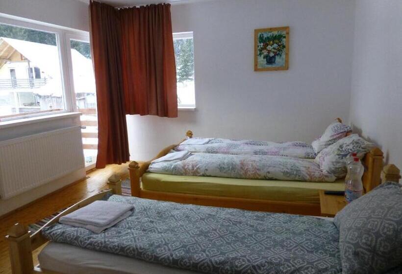 ペンション Cabana Filip