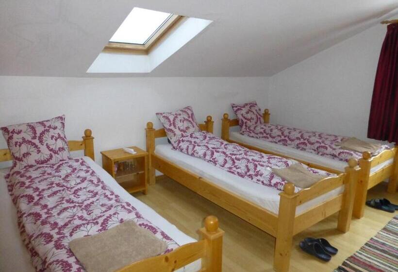 ペンション Cabana Filip