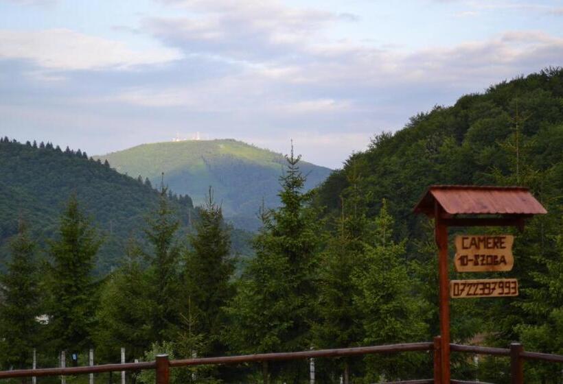 ペンション Cabana Filip