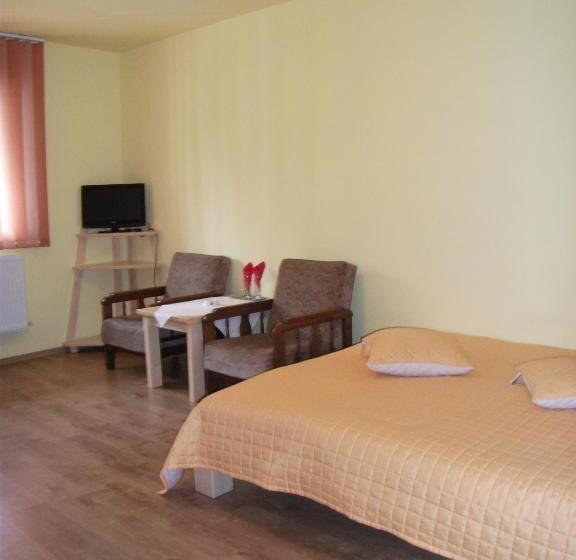 膳宿费 Vila Sport Borsec