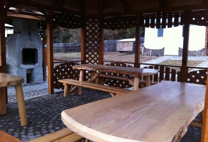 膳宿费 Vila Sport Borsec