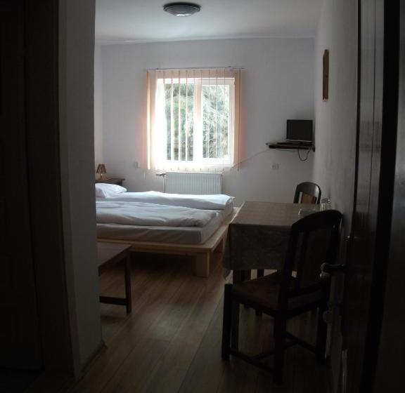 膳宿费 Vila Sport Borsec