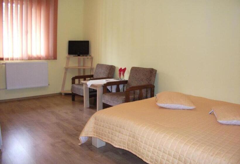 膳宿费 Vila Sport Borsec