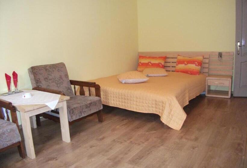 膳宿费 Vila Sport Borsec