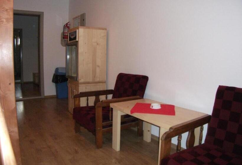 膳宿费 Vila Sport Borsec