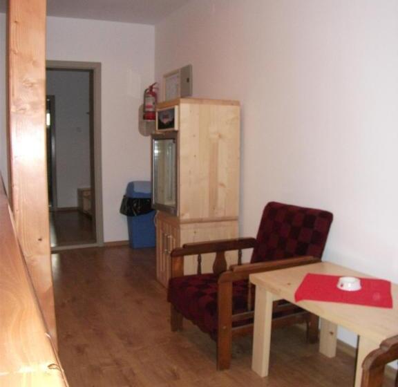 膳宿费 Vila Sport Borsec