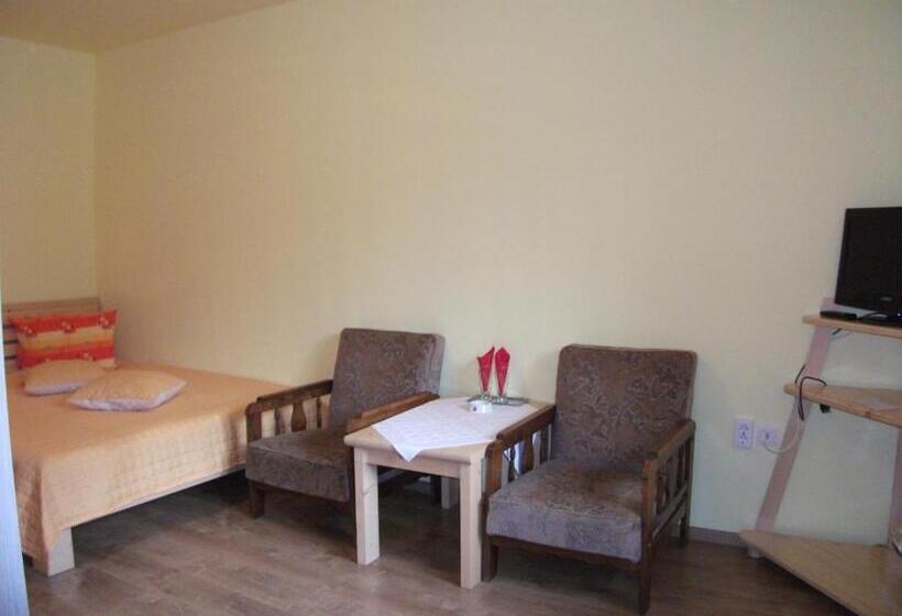 膳宿费 Vila Sport Borsec