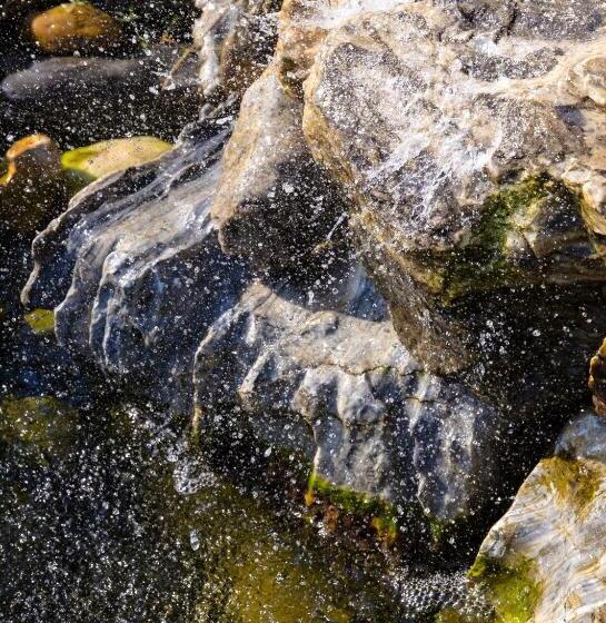 Pensiunea La Broscuta