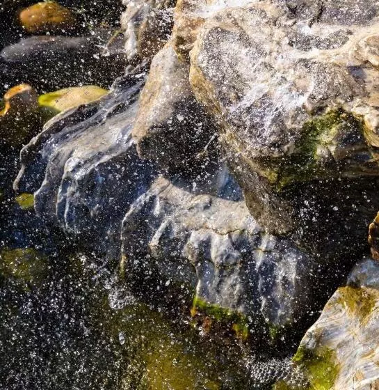 Pensiunea La Broscuta