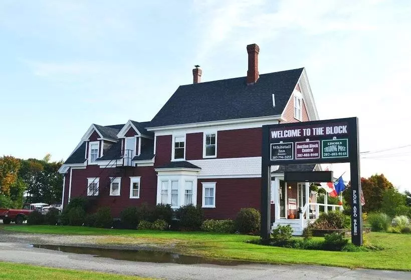 Retkeilymaja The Whitetail And Suites