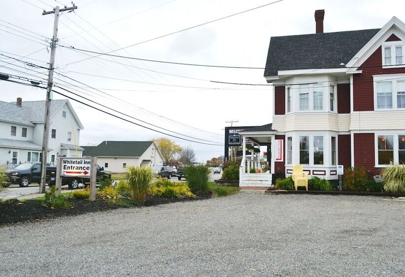 Общежитие The Whitetail And Suites