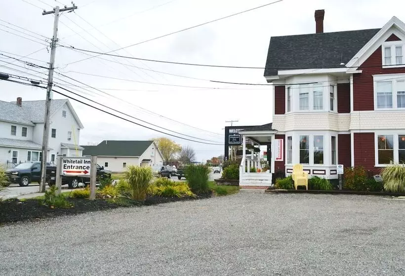 Retkeilymaja The Whitetail And Suites