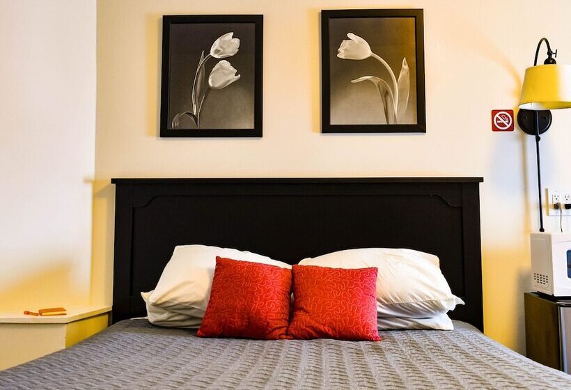 旅馆 The Whitetail And Suites