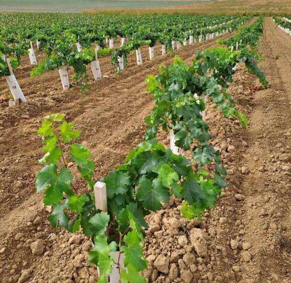 צימר Chambre D Elisabeth à La Ferme