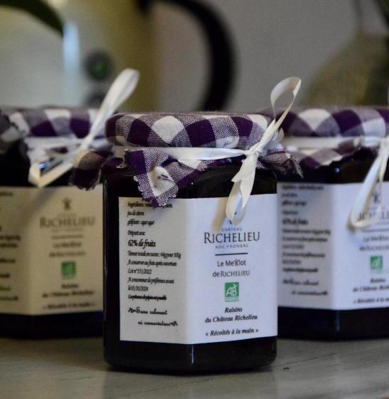 צימר Château Richelieu