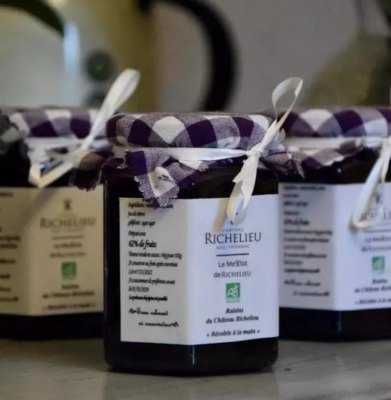 Aamiaismajoitus (B&B) Château Richelieu